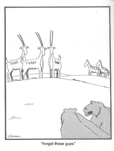 Farside Comic