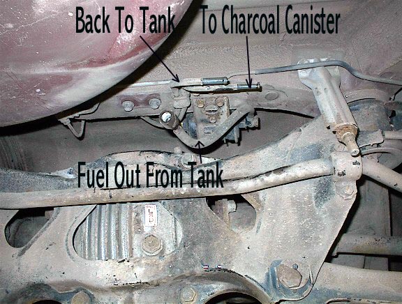 fuel lines at tank